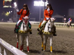川崎競馬の誘導馬　１１月開催　重賞Ｖｅｒ　２