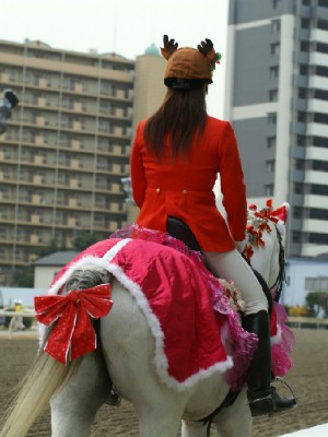 川崎競馬の誘導馬　１２月　クリスマス　アロワナリング　３