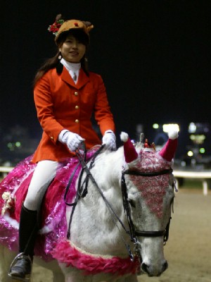 川崎競馬の誘導馬　１２月　クリスマス　トゥインクルジョイ　３