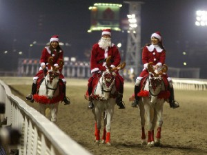 川崎競馬の誘導馬　１２月クリスマス　重賞Ｖｅｒ　２