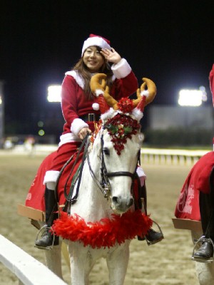 川崎競馬の誘導馬　１２月クリスマス　重賞Ｖｅｒ　８