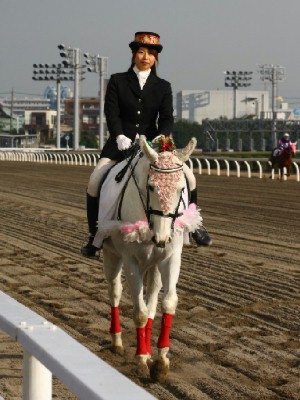 川崎競馬の誘導馬　１２月開催　初心者マークＶｅｒ　トーチくん