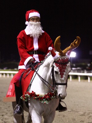 川崎競馬の誘導馬　１２月開催　年に一度のサンタクロース