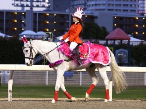 川崎競馬の誘導馬　１２月開催　誕生日祝いＶｅｒ　２
