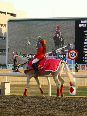 川崎競馬の誘導馬　１２月開催　ｘｍａｓ　平場Ｖｅｒ　ジョイくん　２