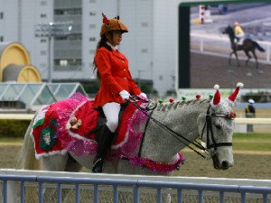 川崎競馬の誘導馬　１２月開催　ｘｍａｓ　平場Ｖｅｒ　ジョイくん　５