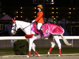 川崎競馬の誘導馬　１２月開催　ｘｍａｓ　平場Ｖｅｒ　ユーちゃん　２