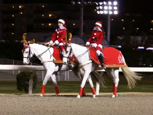 川崎競馬の誘導馬　１２月開催　ｘｍａｓ　２頭立てＶｅｒ　１
