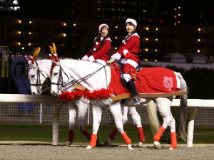 川崎競馬の誘導馬　１２月開催　ｘｍａｓ　２頭立てＶｅｒ　２