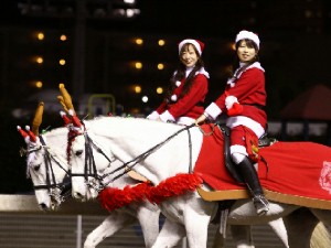 川崎競馬の誘導馬　１２月開催　ｘｍａｓ　２頭立てＶｅｒ　３