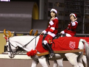 川崎競馬の誘導馬　１２月開催　ｘｍａｓ　２頭立てＶｅｒ　４