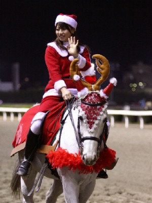 川崎競馬の誘導馬　１２月開催　ｘｍａｓ　２頭立てＶｅｒ　５