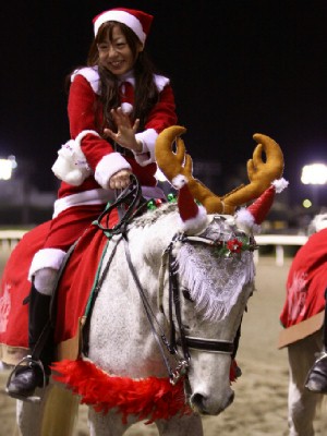 川崎競馬の誘導馬　１２月開催　ｘｍａｓ　２頭立てＶｅｒ　６