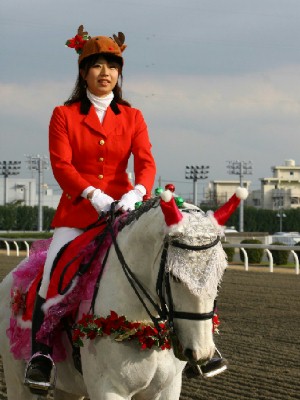 川崎競馬の誘導馬　１２月開催　ｘｍａｓ平場Ｖｅｒ　トーチくん　２
