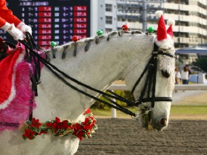川崎競馬の誘導馬　１２月開催　ｘｍａｓ平場Ｖｅｒ　トーチくん　４