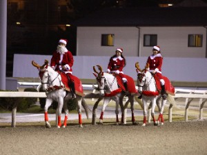 川崎競馬の誘導馬　１２月開催　xmas　３頭立てＶｅｒ２　１