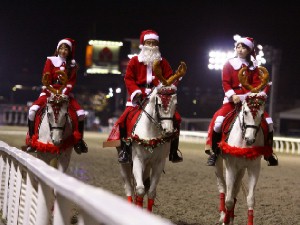 川崎競馬の誘導馬　１２月開催　xmas　３頭立てＶｅｒ２　２