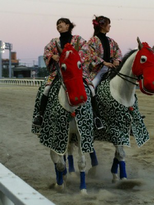 川崎競馬の誘導馬　２Ｆからの大きな長い声で　２頭共ビックリ.jpg