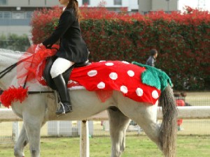 川崎競馬の誘導馬　３月いちごＶｅｒ　トーチくん　２