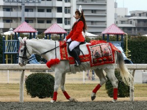 川崎競馬の誘導馬　３月開催　うさぎ＆ひな祭りＶｅｒ　２