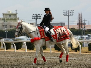 川崎競馬の誘導馬　３月開催　ひなまつりＶｅｒ　シロくん　２
