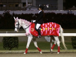 川崎競馬の誘導馬　３月開催　桜＆鯉のぼりＶｅｒ　ユーちゃん　１