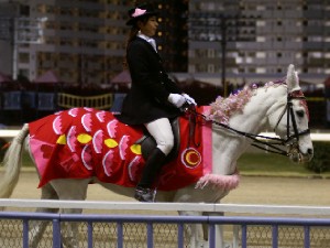 川崎競馬の誘導馬　３月開催　桜＆鯉のぼりＶｅｒ　ユーちゃん　２