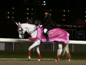 川崎競馬の誘導馬　３月開催　特別レース　ドレスＶｅｒ　１