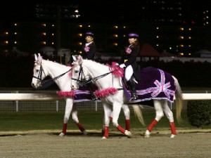川崎競馬の誘導馬　３月開催　重賞　桜Ｖｅｒ　２