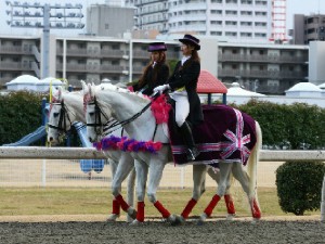 川崎競馬の誘導馬　３月開催　重賞Ｖｅｒ　１