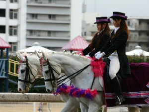 川崎競馬の誘導馬　３月開催　重賞Ｖｅｒ　２