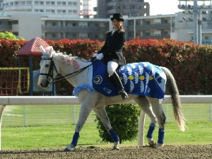 川崎競馬の誘導馬　４月　桜＆こいのぼり　青Ｖｅｒ　トーチくん１