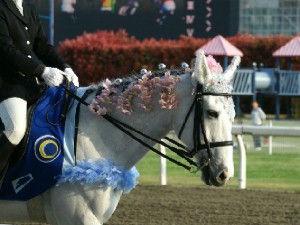 川崎競馬の誘導馬　４月　桜＆こいのぼり　青Ｖｅｒ　トーチくん２