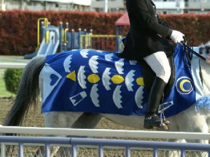 川崎競馬の誘導馬　４月　桜＆こいのぼり　青Ｖｅｒ　トーチくん３