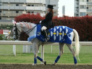 川崎競馬の誘導馬　４月　桜＆こいのぼり　青Ｖｅｒ　ユーちゃん１