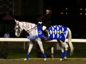 川崎競馬の誘導馬　４月　桜＆こいのぼり　青Ｖｅｒ　ユーちゃん２