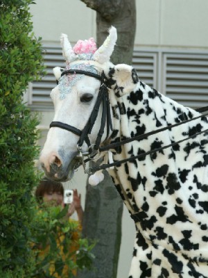 川崎競馬の誘導馬　４月開催　カゥくん　トーチくんＶｅｒ１