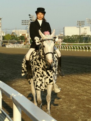 川崎競馬の誘導馬　４月開催　カゥくん　トーチくんＶｅｒ２