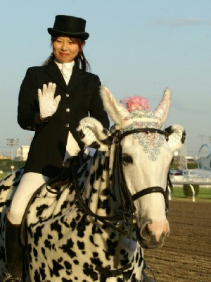 川崎競馬の誘導馬　４月開催　カゥくん　トーチくんＶｅｒ３