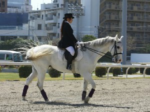 川崎競馬の誘導馬　４月開催　コスプレ無しVer　６.jpg