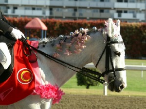 川崎競馬の誘導馬　４月開催　桜＆こいのぼり　赤Ｖｅｒ　トーチくん２