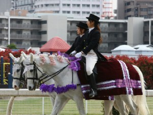 川崎競馬の誘導馬　４月開催　桜＆重賞Ｖｅｒ　１