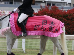 川崎競馬の誘導馬　４月開催　桜Ｖｅｒ　ユーちゃん　３.jpg