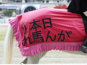 川崎競馬の誘導馬　４月開催　桜Ｖｅｒ　ユーちゃん　４.jpg