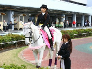 川崎競馬の誘導馬　４月開催　義援金募金Ｖｅｒ　４.jpg