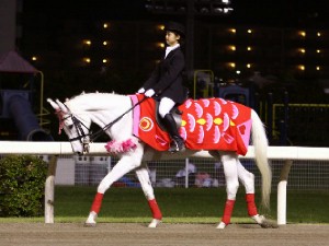 川崎競馬の誘導馬　５月開催　こいのぼりＶｅｒ　ユーちゃん　２