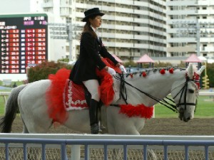 川崎競馬の誘導馬　５月開催　カーネーションＶｅｒ　３