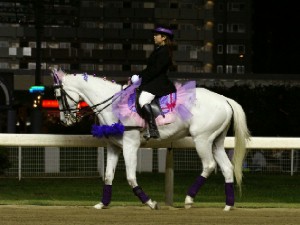 川崎競馬の誘導馬　５月開催　最終レースＶｅｒ　ユーちゃん