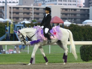 川崎競馬の誘導馬　５月開催　藤Ｖｅｒ　ユーちゃん　２