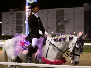 川崎競馬の誘導馬　６月開催　あやめＶｅｒ　その２　３
